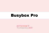 Busybox Pro