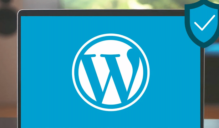 Tips for Choosing the Best Plugins for Backup WordPress
